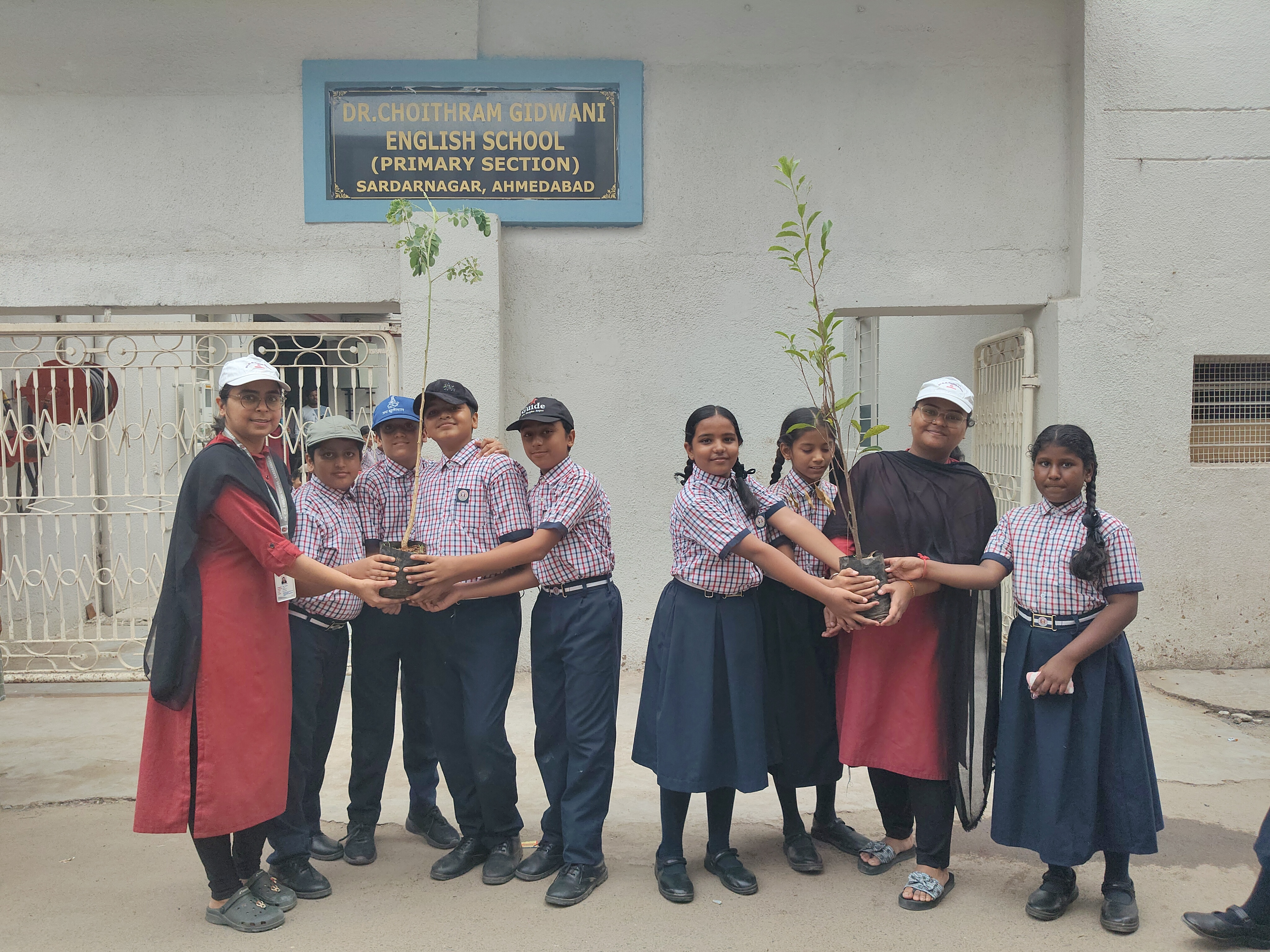 SAPLINGS PLANTATION